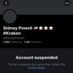 Twitter Censorship
