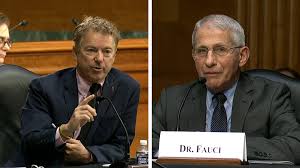 fauci