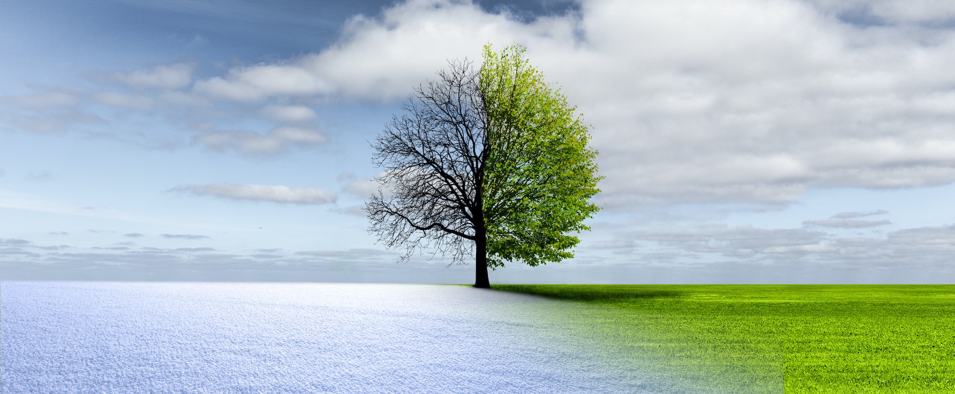 A Time of Transition and Transfiguration