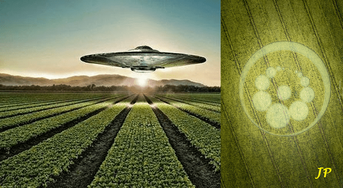 CROP CIRCLES