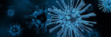 Marburg virus