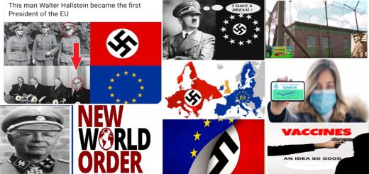 Nazi NWO