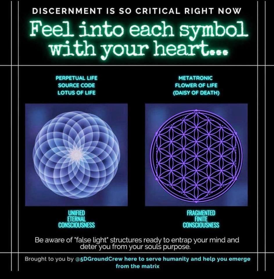 flower of life vs death