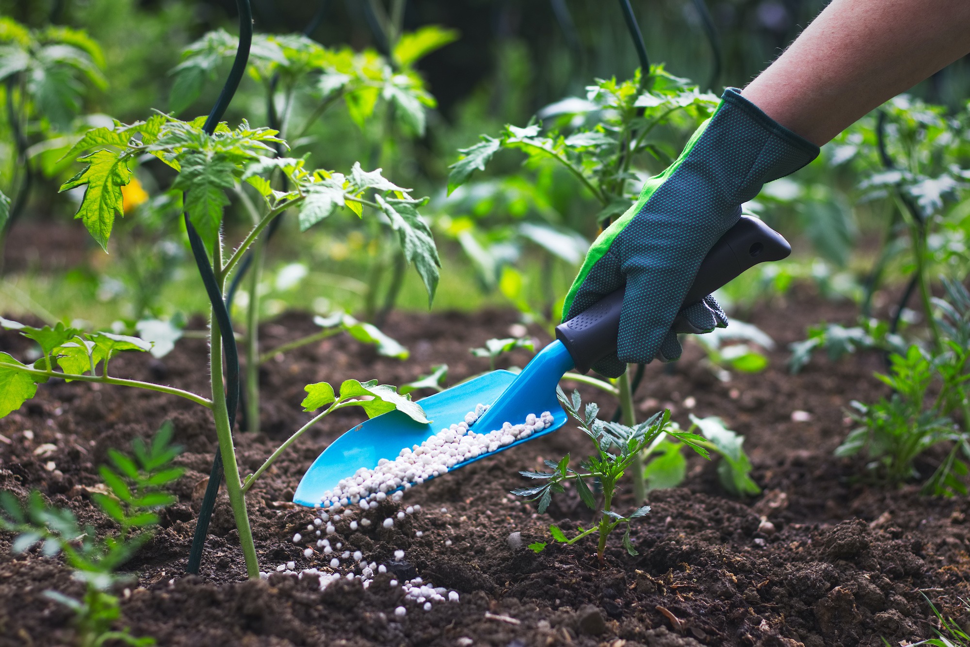 GLOBAL FERTILIZER NIGHTMARE, SHOCKING NEW EVIDENCE WUHAN HOSPITAL, DUALITY & DIVINITY