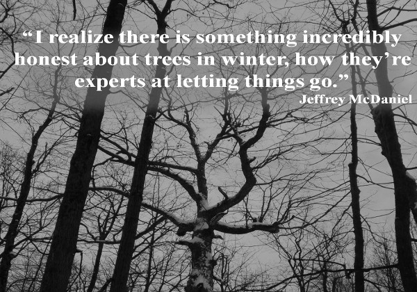 lessons in letting go