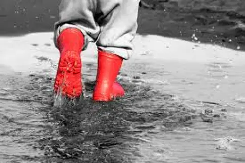 Raining Truth