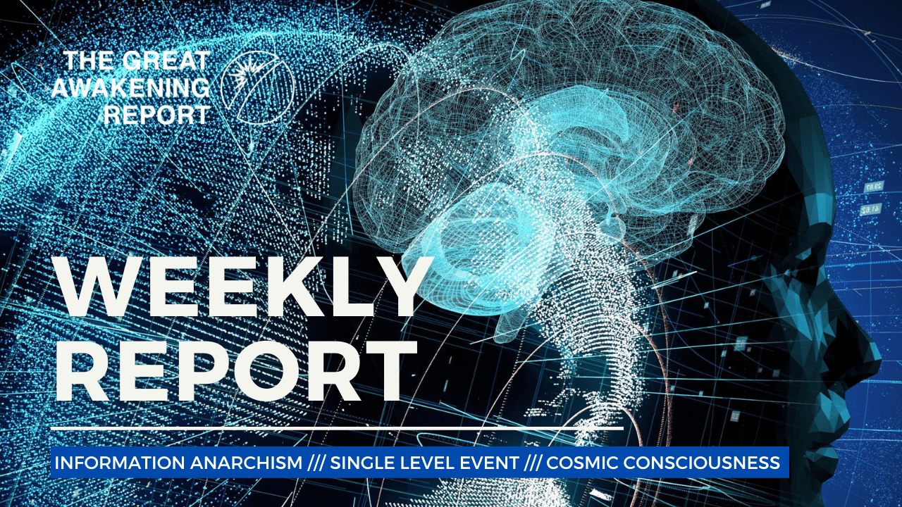 WEEKLY REPORT