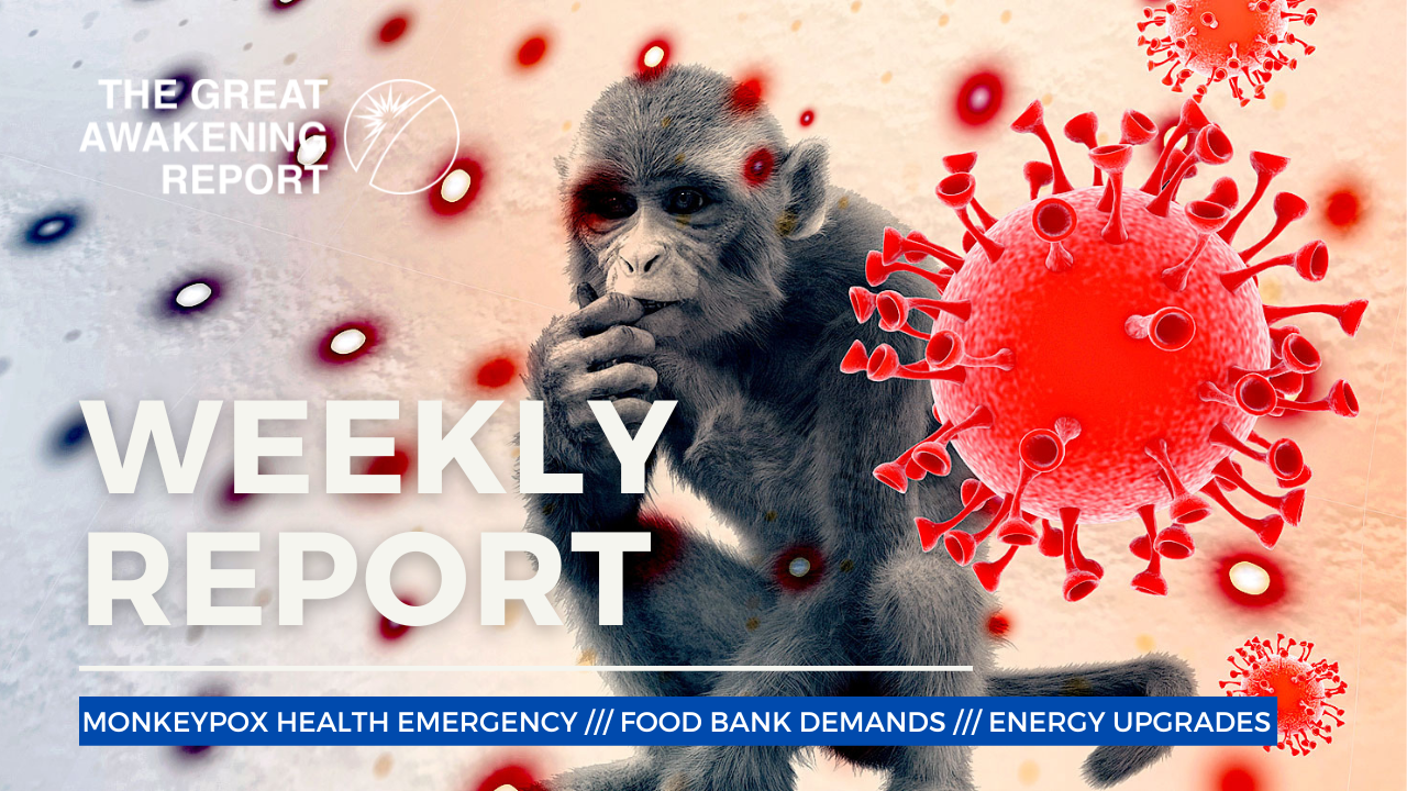 WEEKLY REPORT