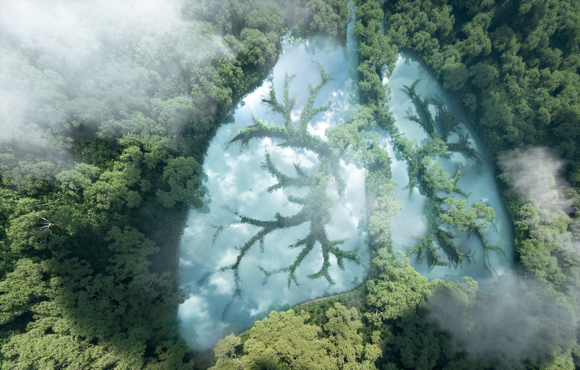 The History of BreathWork