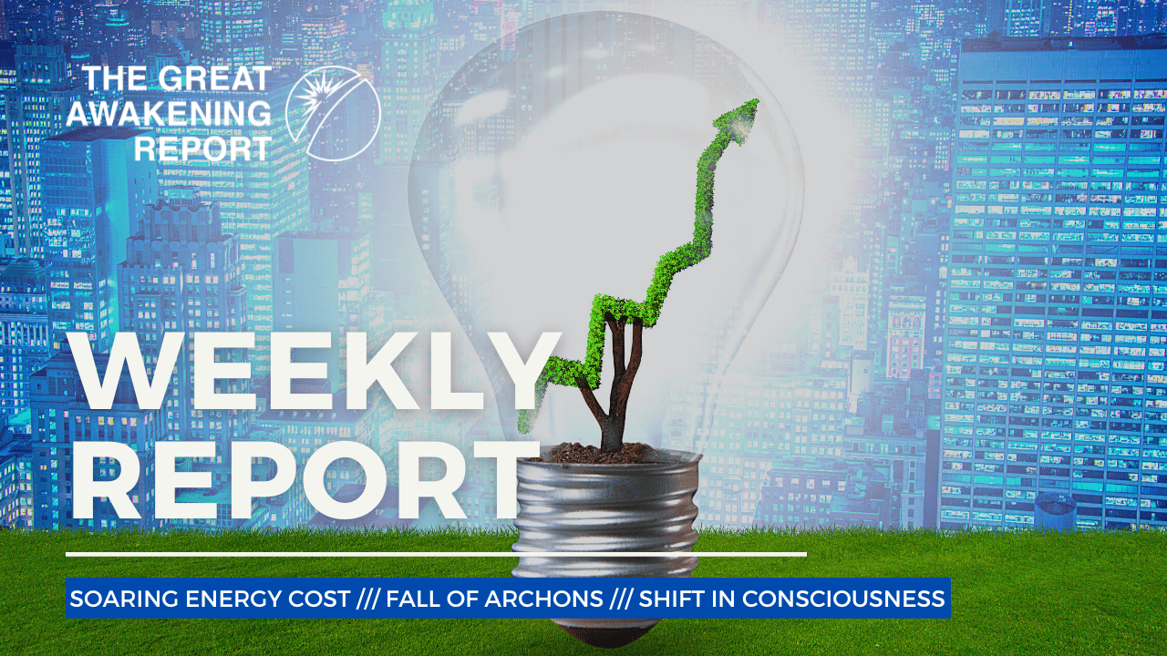 Weekly-Report