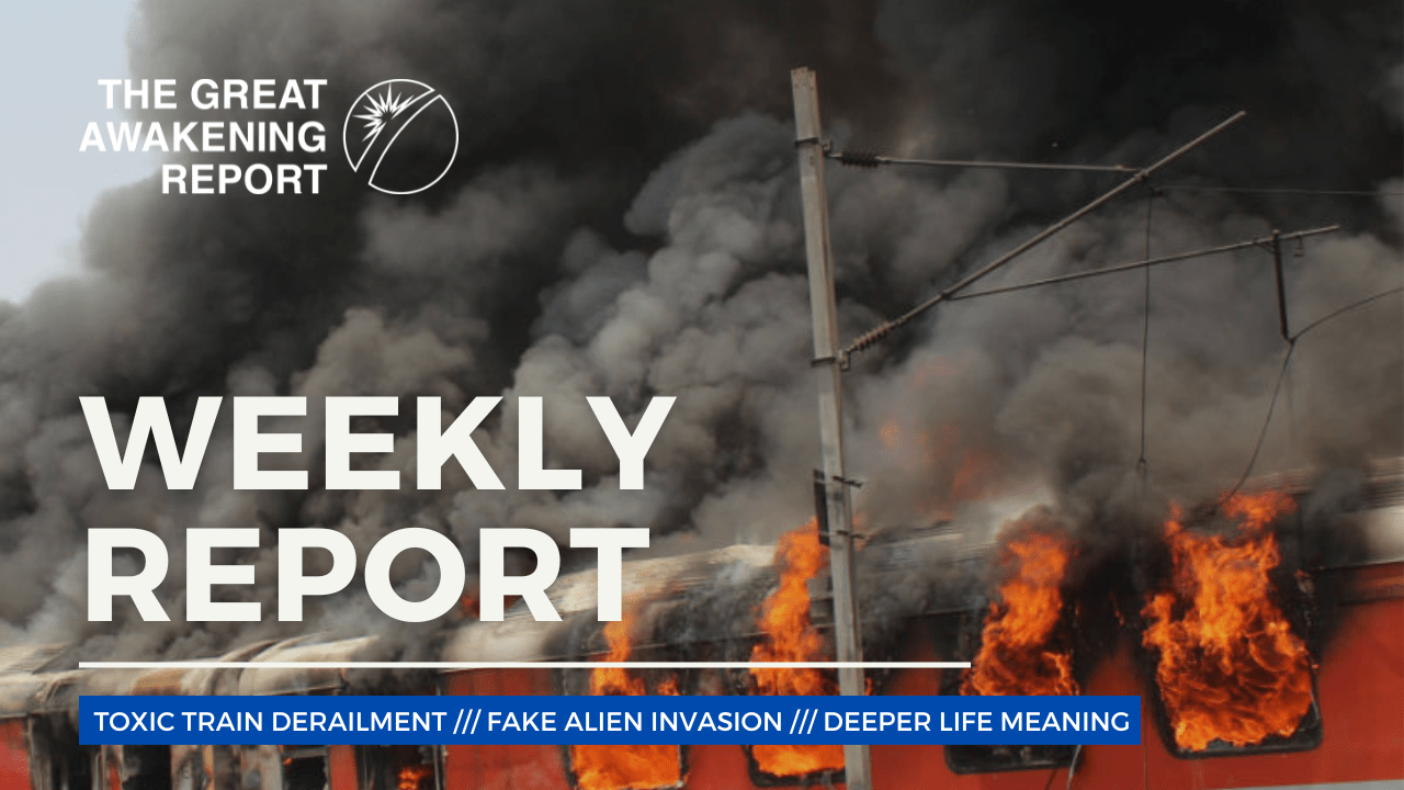 WEEKLY REPORT