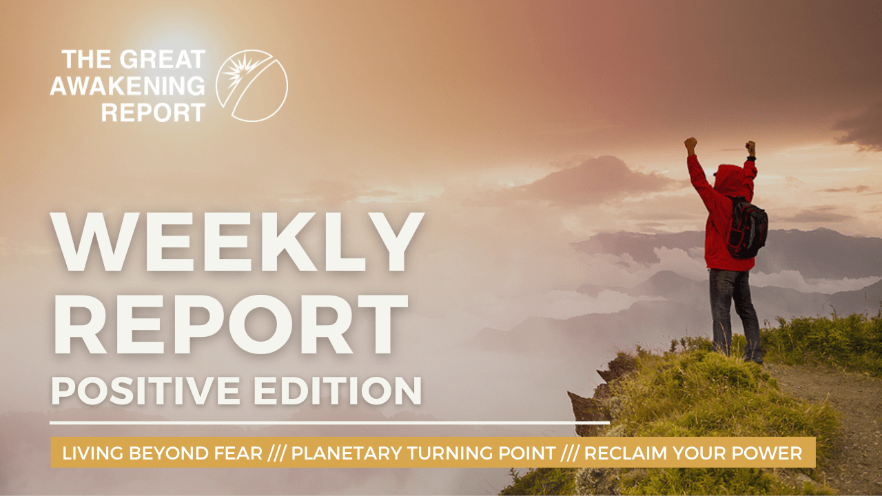 WEEKLY REPORT