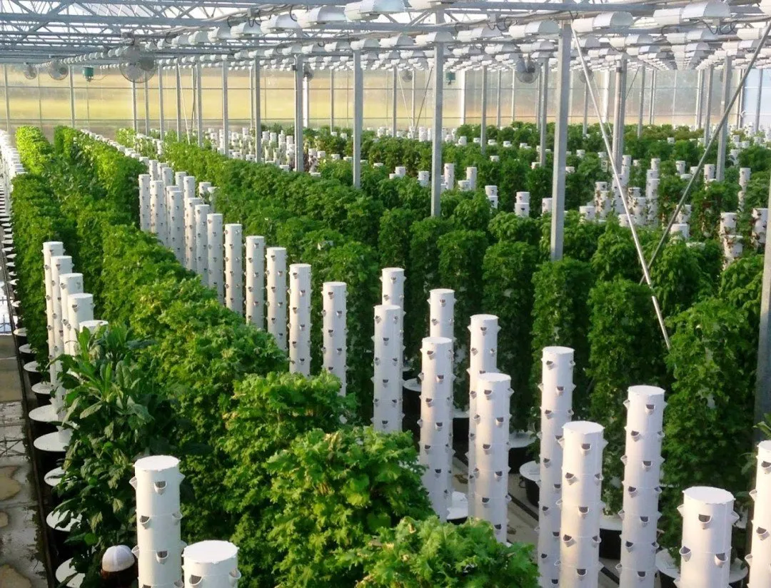 warehouse garden tower farming