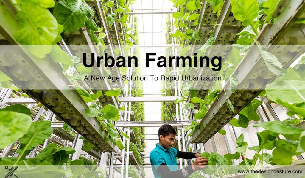 urban farming