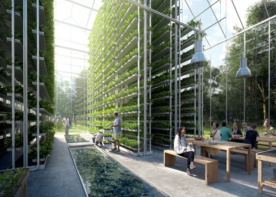 VERTICAL VILLAGE ORGANIC FARMS