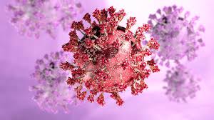 pandemic 2.0