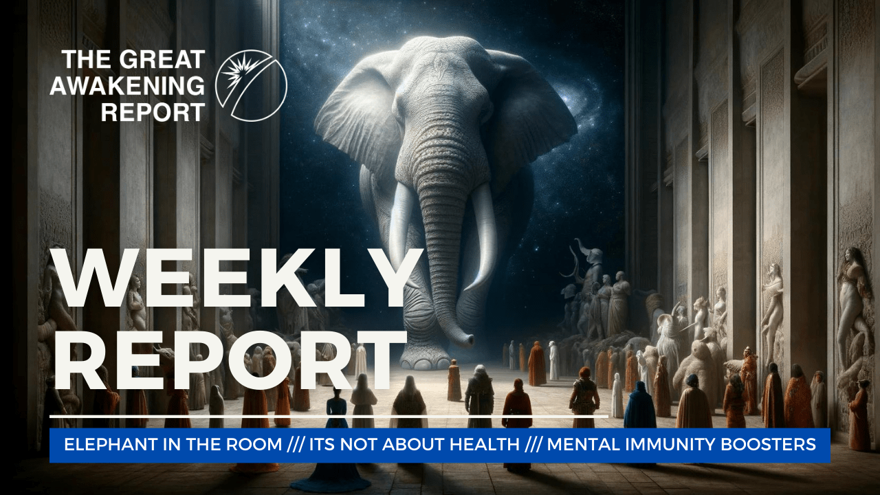 WEEKLY REPORT