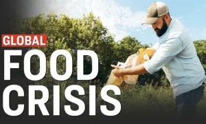 Global Food Crisis