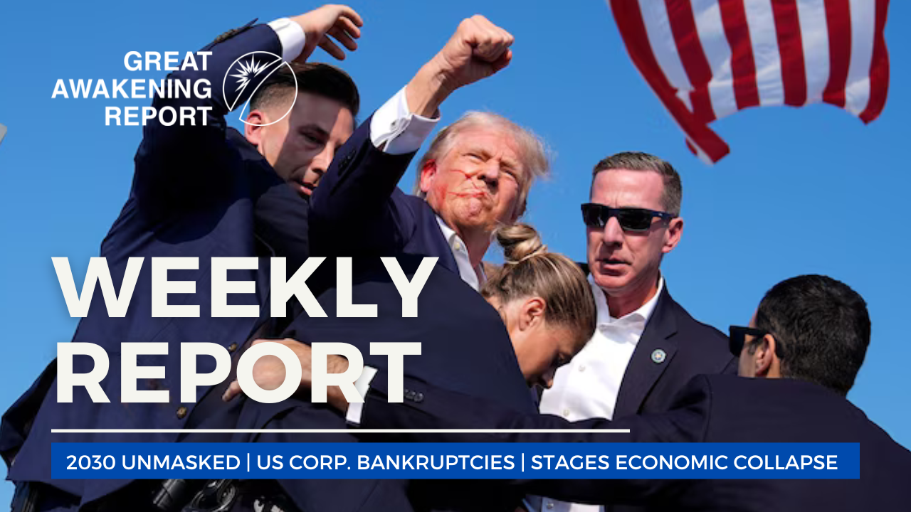 WEEKLY REPORT