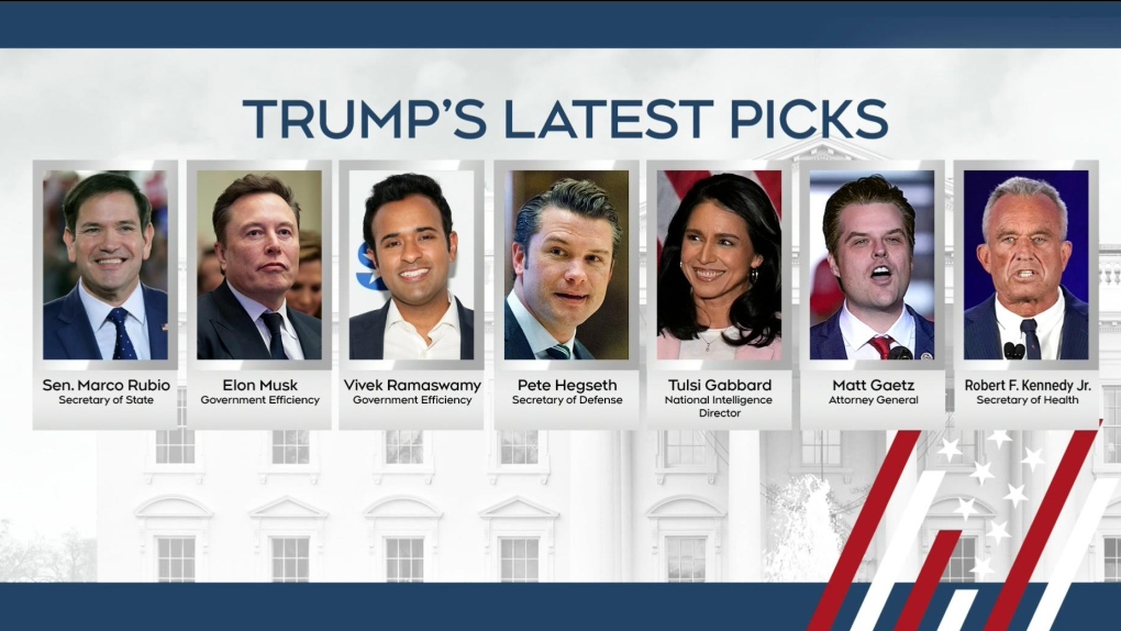 Trumps cabinet picks